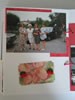 Album de Sylvie